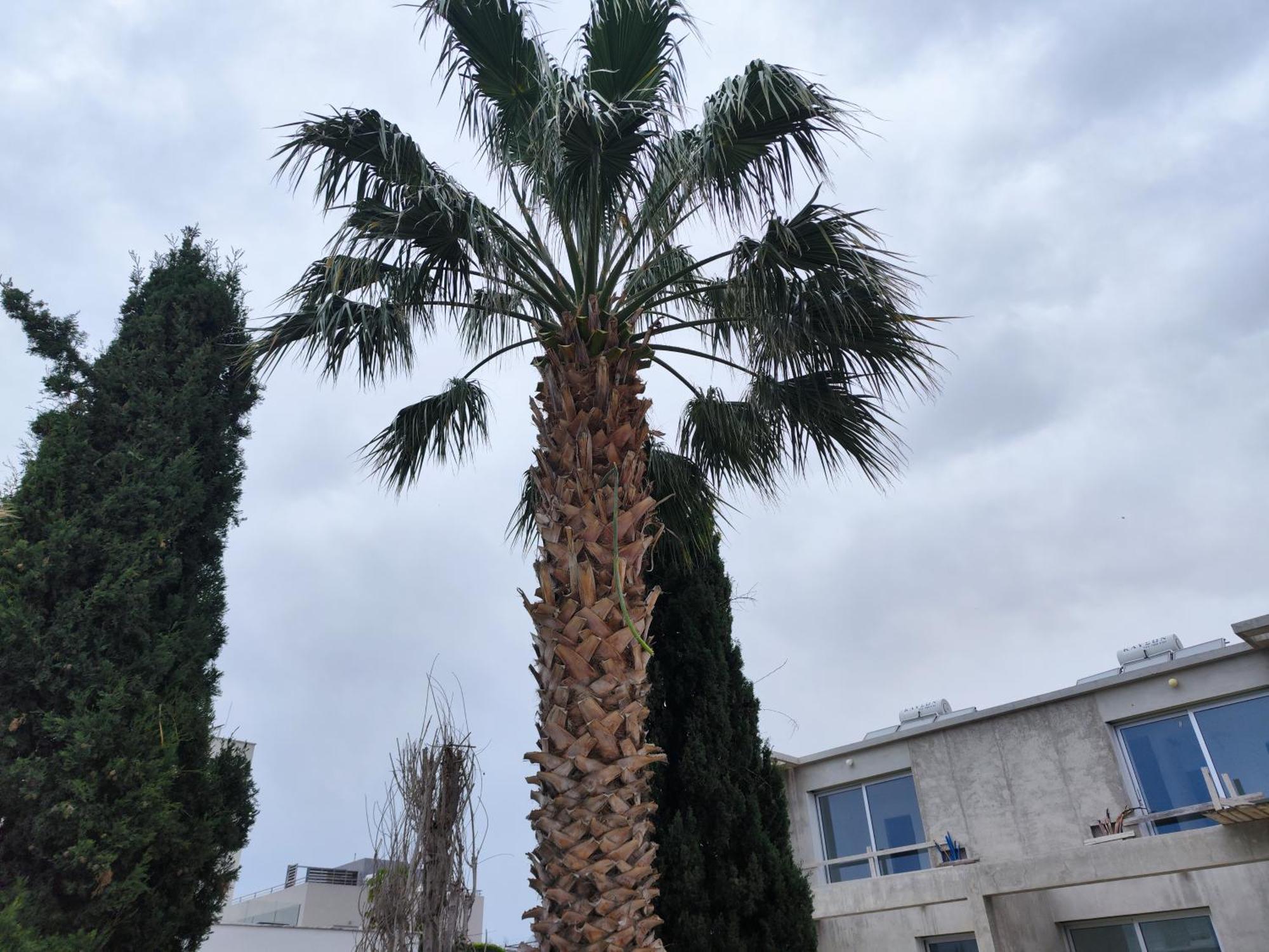 Sunset Green 02 Paphos Exterior photo